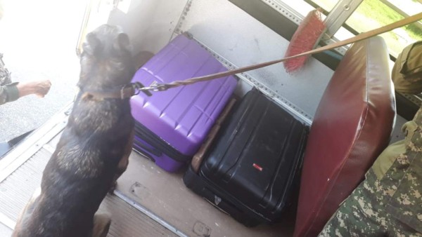 Decomisan un cargamento de supuesta droga en un bus en Omoa