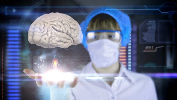 Revelan más secretos del cerebro