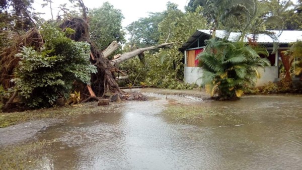 Foto: La Prensa