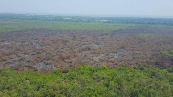Honduras: Controlan fuego en el parque Jeannette Kawas