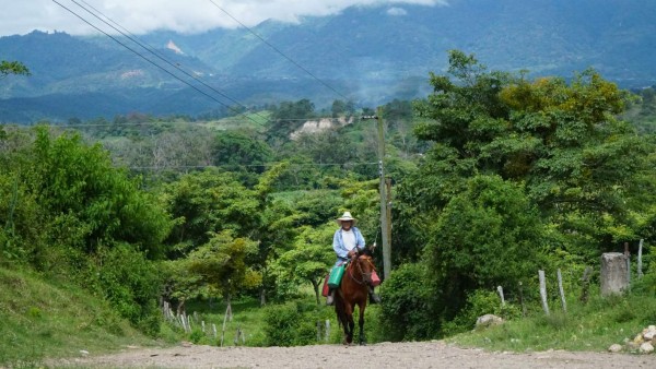 Conozca El Güisayote: zona fría de hermosas y elevadas praderas