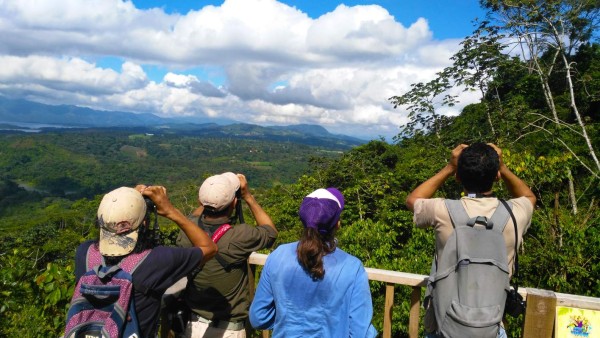 Expertos registran centenares de especies de aves en el Lago de Yojoa