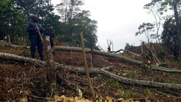 Luchan para proteger fuentes de agua en montañas Mico Quemado y El Merendón