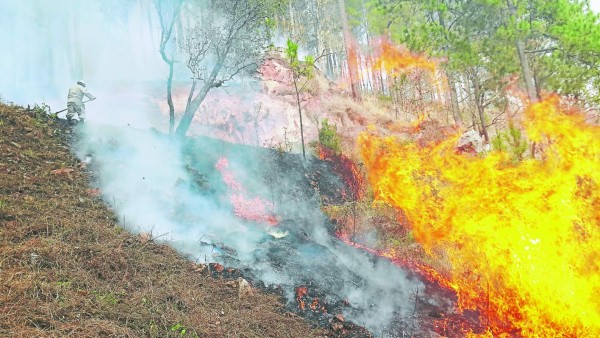 Seis grandes incendios asfixian la capital de Honduras