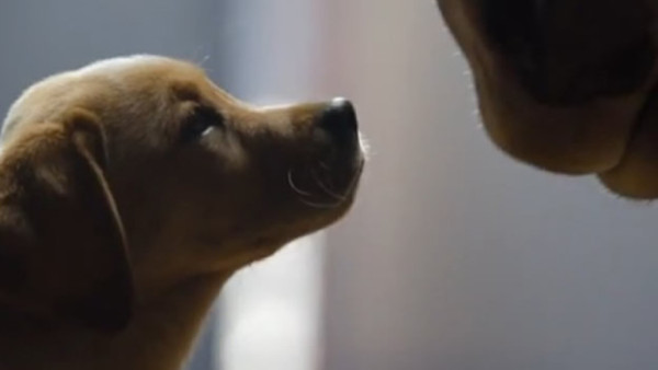 Los mejores comerciales del Super Bowl 2014