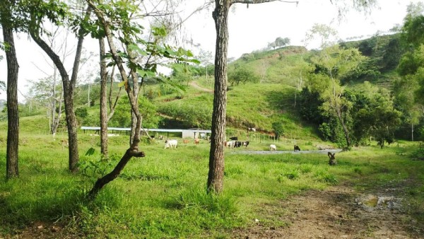 Haciendas de ‘Cachiros’ y los Valle serán escuelas agrícolas