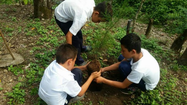 Hacen conciencia para no dañar manto freático de El Merendón
