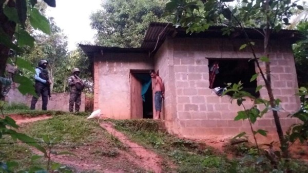 Operación Tifón se extendió a 28 ciudades; hay 65 detenidos