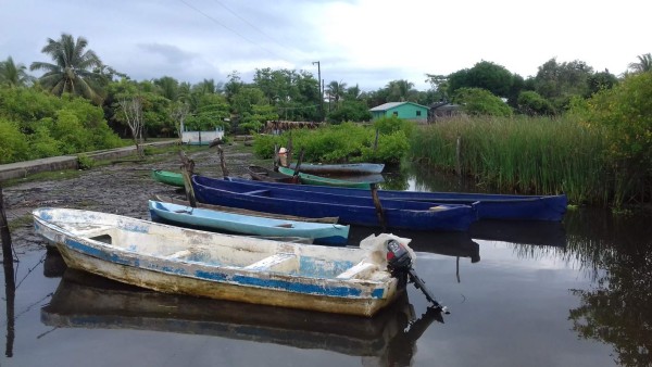 Honduras irá con cuatro estrategias a Conferencia de Cambio Climático
