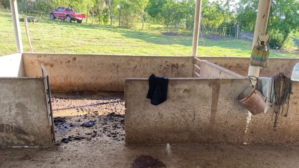 Asesinan a pareja en el municipio de Bonito Oriental, departamento de Colón