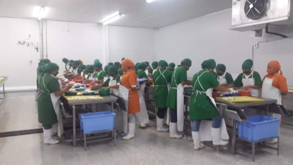 Empresa productora de chiles rellenos busca penetrar el mercado nacional