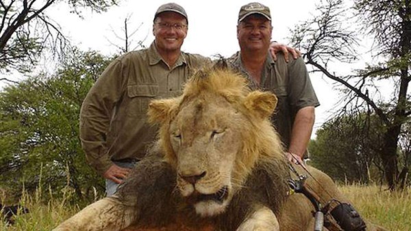 Dentista que mató al León Cecil no enfrentará cargos en Zimbabue