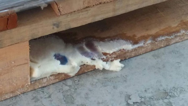 Hallan supuesta cocaína enviada desde Colombia a Puerto Cortés