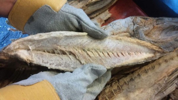 Las emergencias en los hospitales sampedranos por intoxicación alimenticia o alcohólica suben en verano