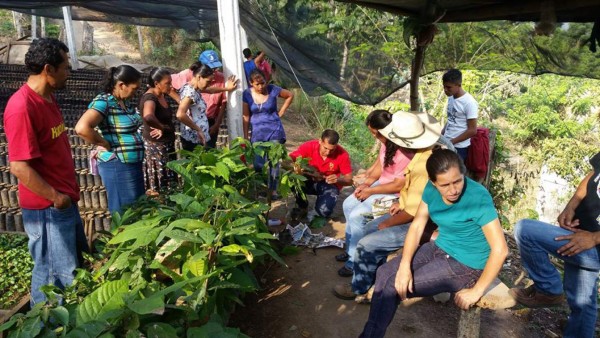 Hacen conciencia para no dañar manto freático de El Merendón