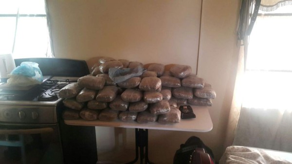 Decomisan unos 300 kilos de marihuana en Choloma