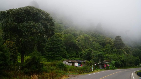 Conozca El Güisayote: zona fría de hermosas y elevadas praderas