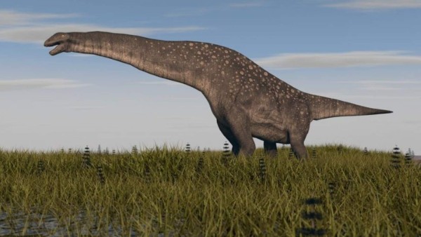 Descubren en Argentina restos fósiles del Titanosaurio más antiguo del mundo