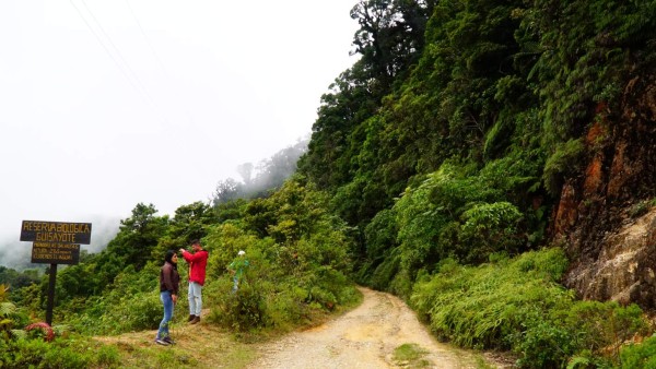 Conozca El Güisayote: zona fría de hermosas y elevadas praderas