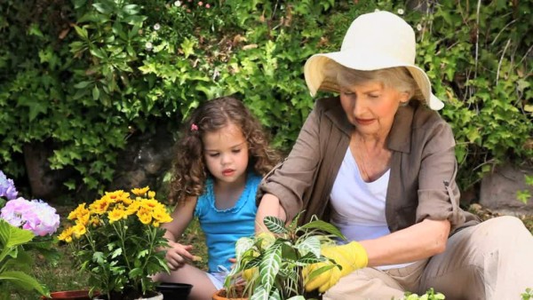 Tenga cuidado con los insectos que portan enfermedades este verano