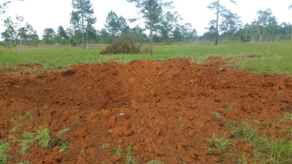 Fusina ha destruido más de 100 narcopistas desde el 2004