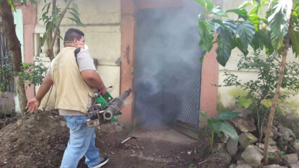 Cuatro jornadas a la semana por chikungunya