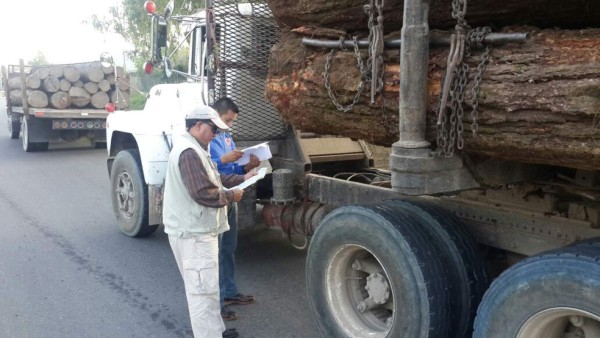 Operación Tifón III ejecuta 186 allanamientos