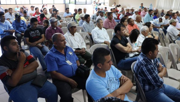 Palmeros buscan apoyo del Gobierno para combatir las plagas