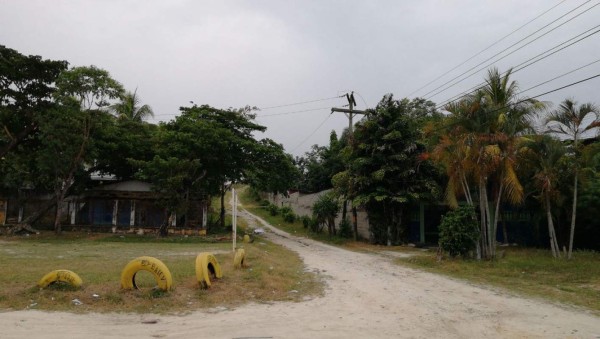 Matan a una mujer y dejan gravemente herida a otra