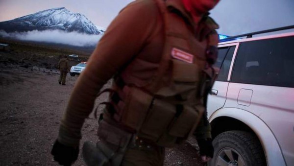 Una perra amamanta a niño abandonado de dos años en Chile