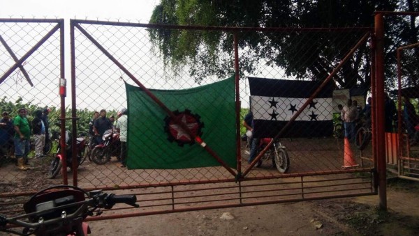Desalojan a trabajadores de las bananeras en huelga en La Lima