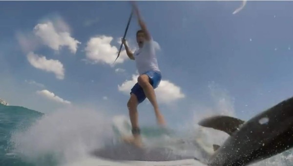 Surfista fue derribado por un tiburón