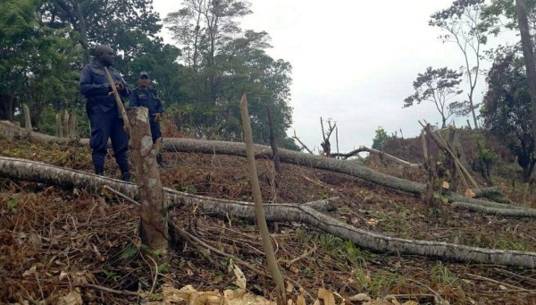 Exigen cárcel para los depredadores de montaña Mico Quemado