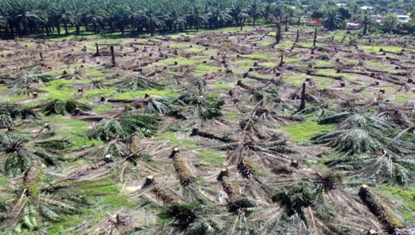 Comunicado Público de Dinant: 'Un llamado a la acción” &nbsp;&nbsp;