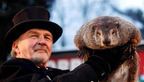 Phil la marmota predice un invierno largo en EUA