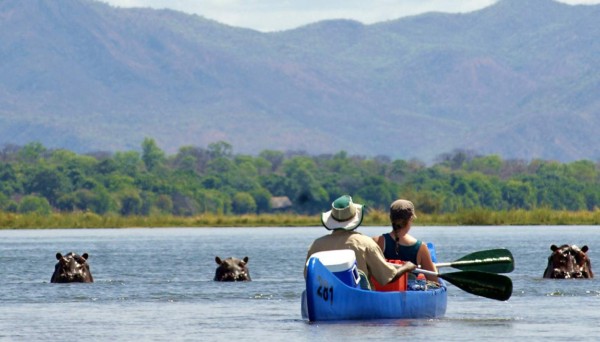 Zambia y sus safaris de río