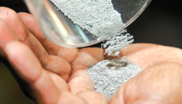 Cruz y palma, fe y devoción