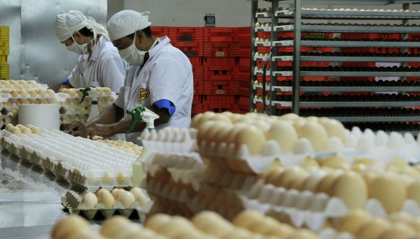 Nicaragua impide ingreso de huevos hondureños