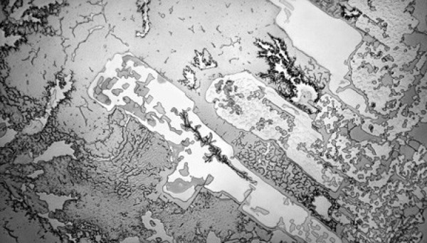 Ver lágrimas con un microscopio revela increíbles hechos