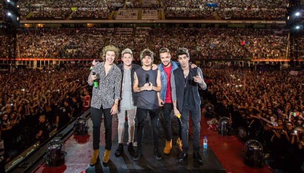 El éxitoso año de One Direction