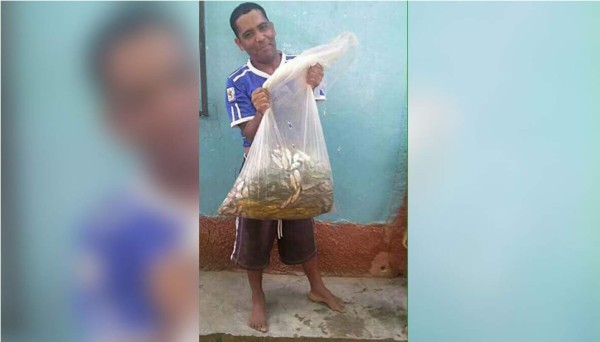 Cae por tercera vez en este año la lluvia de peces en Yoro