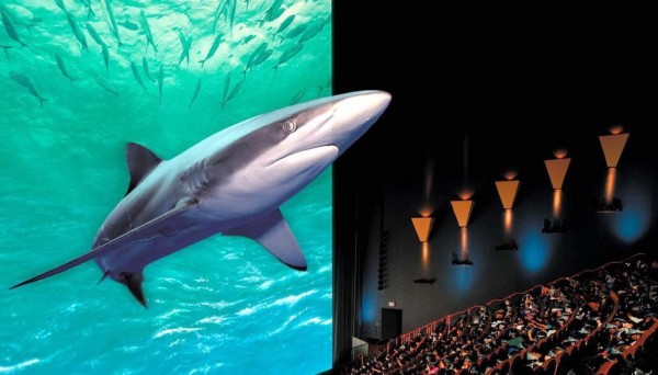 Ver cine en 3D aumenta la agilidad mental