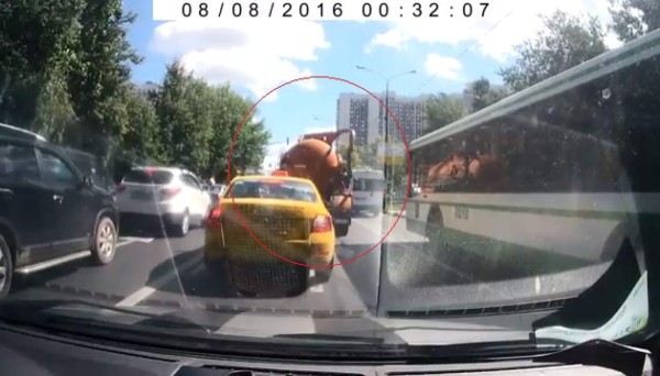 Video: Camión lleno de estiércol explota en plena calle