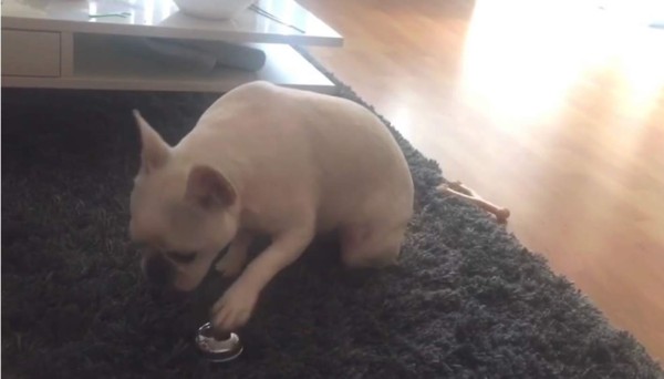 Suena la campana para recibir un premio