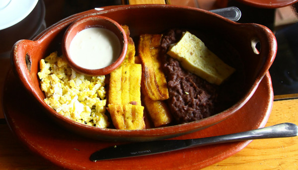 Un aromático recorrido por el proceso del café