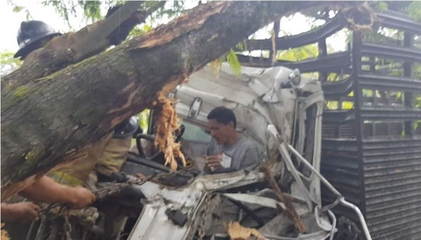 Hombre queda atrapado luego de impactar su vehículo contra un árbol