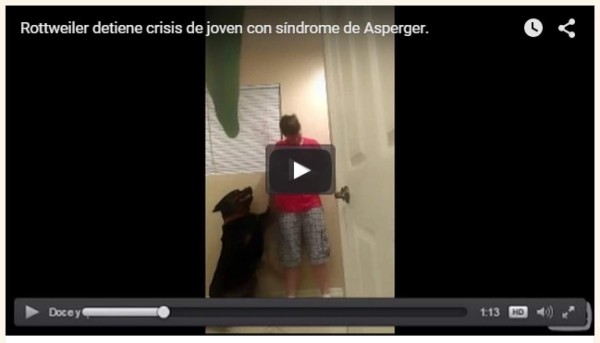 Rottweiler controla ataques de pánico de su dueña
