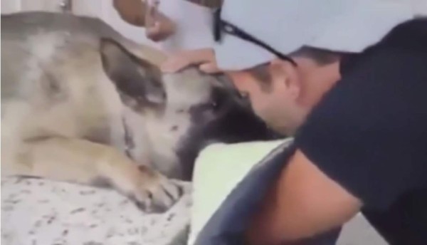 La triste despedida de un dueño a su perro hace llorar al mundo