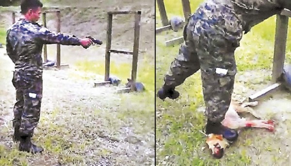 Fuerzas Armadas investiga a militares que torturaron y mataron un perro