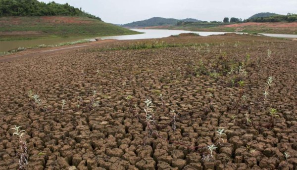 ¿Cómo Honduras puede hacerle frente al cambio climático?